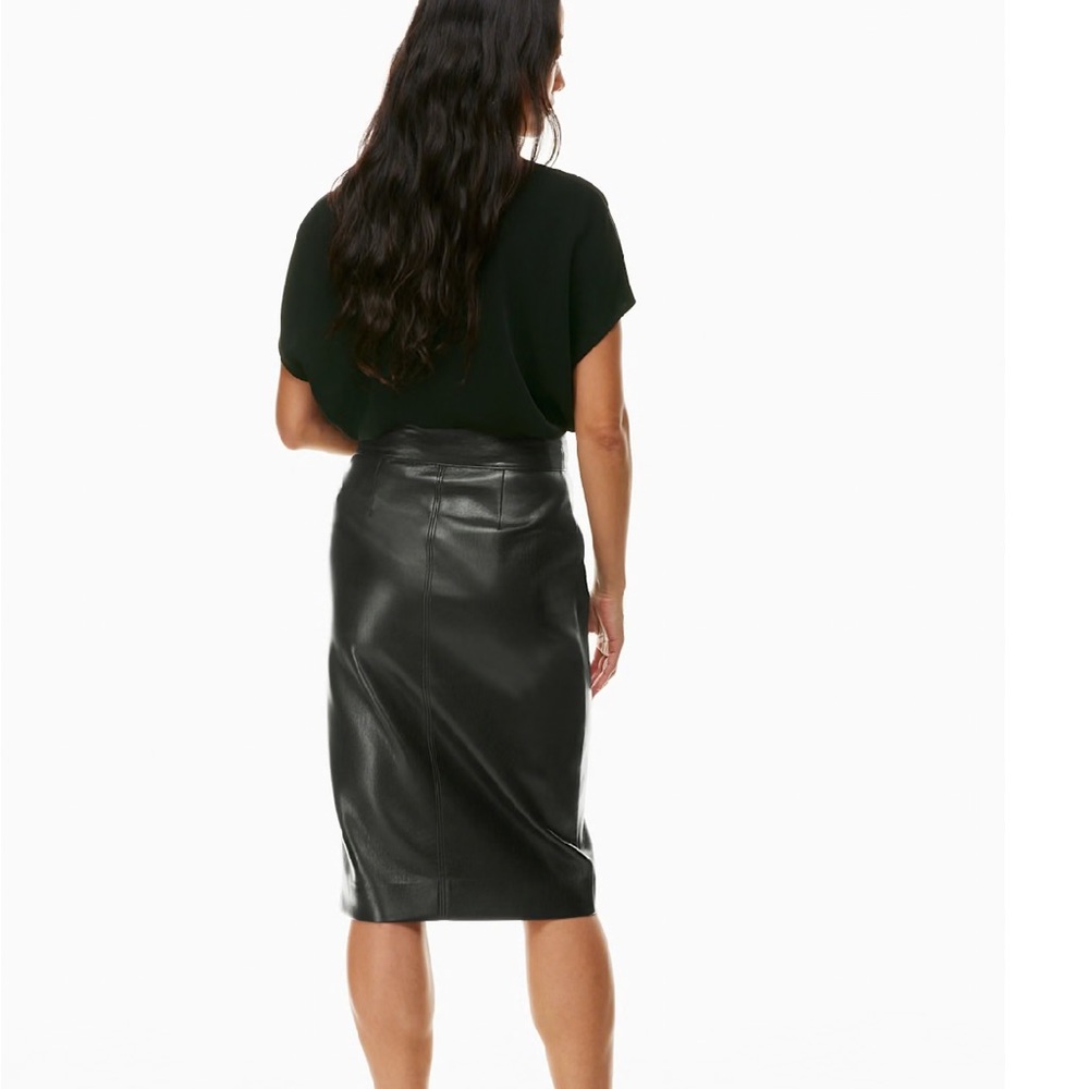 Babaton Pegu Skirt - Picture 5 of 9